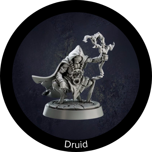 Druid