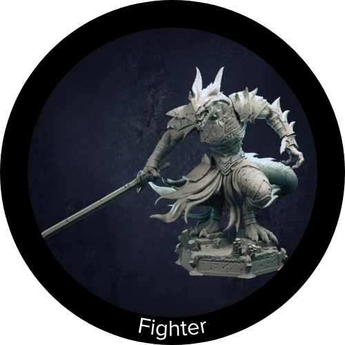 Fighter