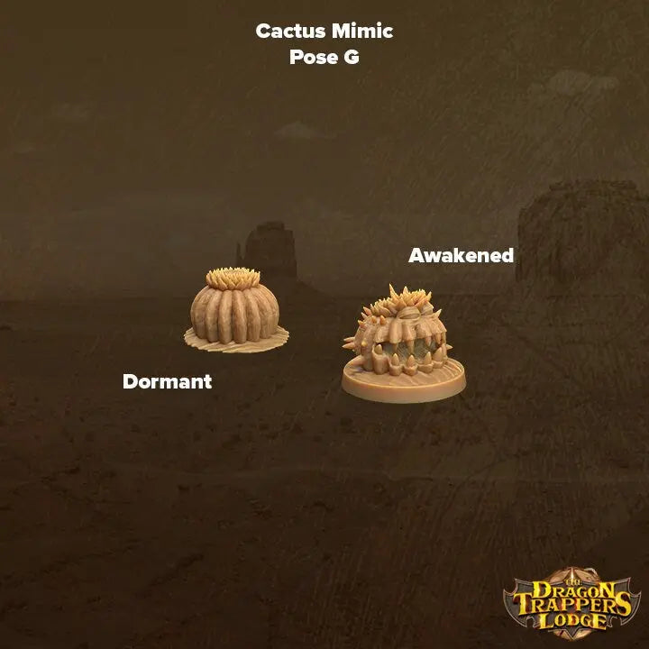 Cacti Mimics - The Print Tavern