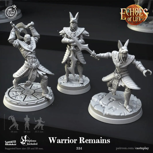 Warrior Remains - The Print Tavern