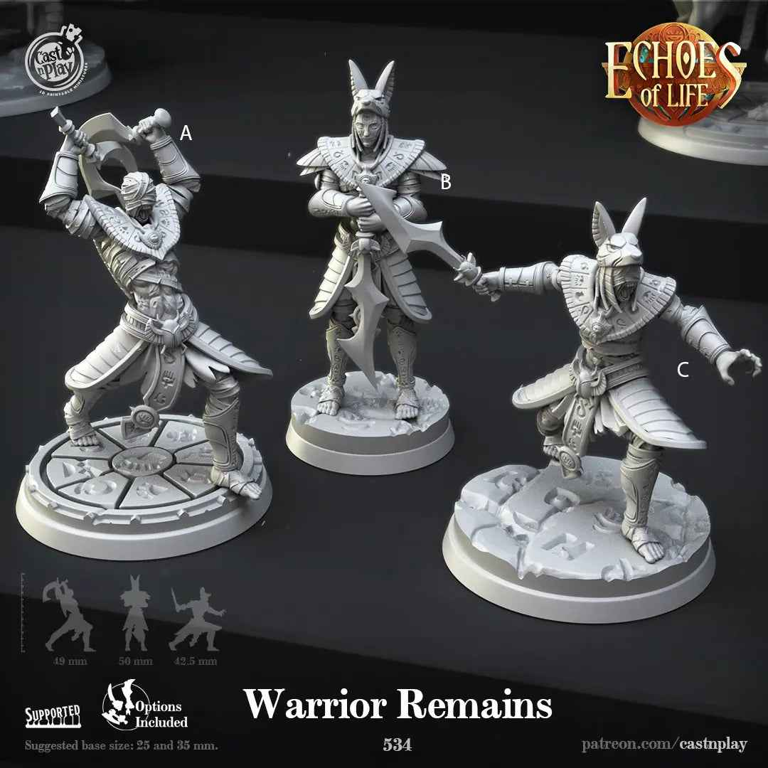 Warrior Remains