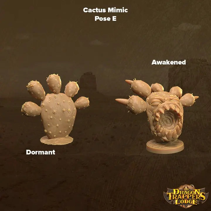 Cacti Mimics - The Print Tavern