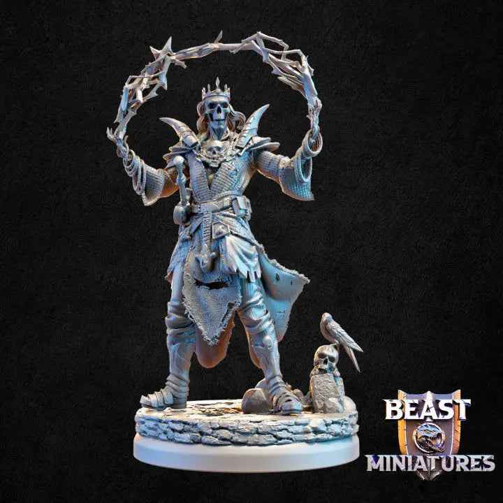 Naervon Skeleton Wizard