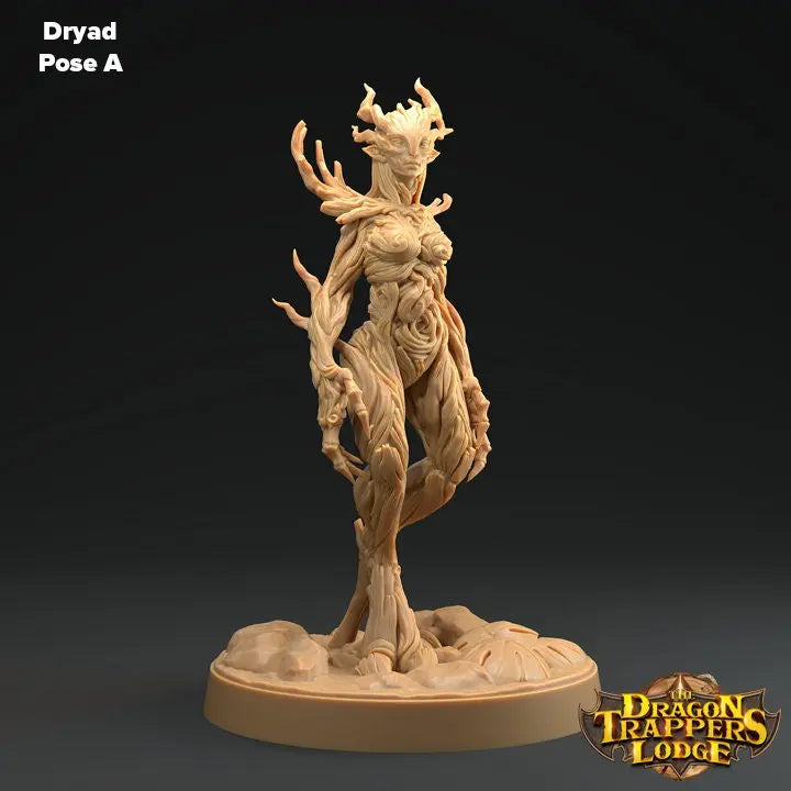 Dryads - The Print Tavern