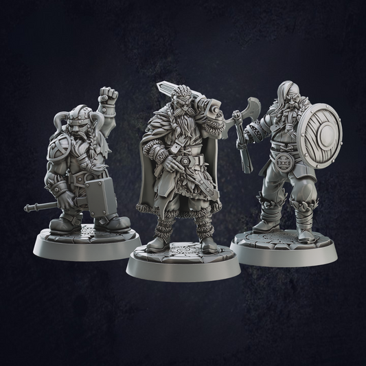 Barbarian Viking Warriors