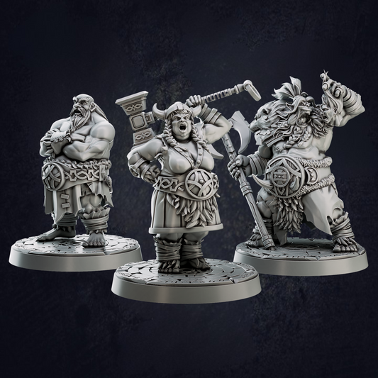 Heavy Vikings