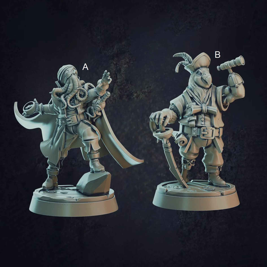 Pirate Navigators