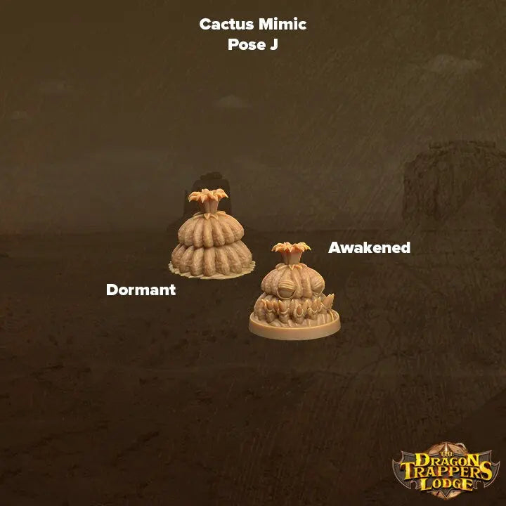 Cacti Mimics - The Print Tavern