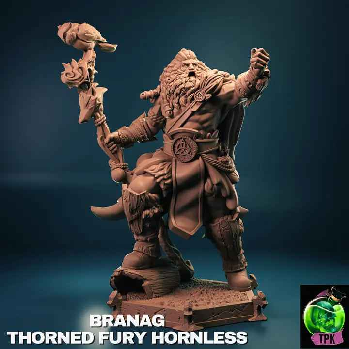 Viking Barbarian Male Human Hornless