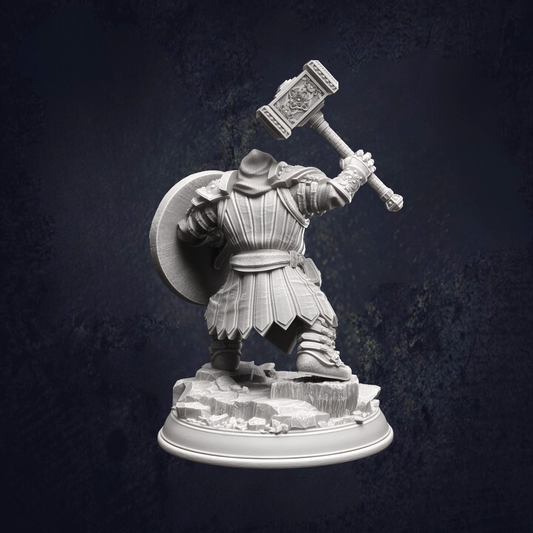 Back view of Tors the dwarven cleric, with his warhammer and decorative shield. Clad with pauldrons and hood, ready for the fight.