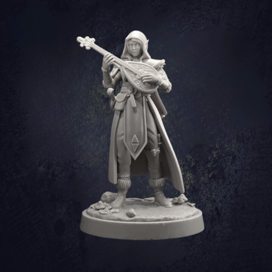 Elven female bard with her decorative lute. Hooded figure with long caped coat and dagger.