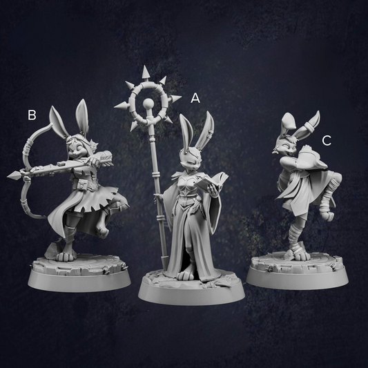 Rabbitfolk Wardens