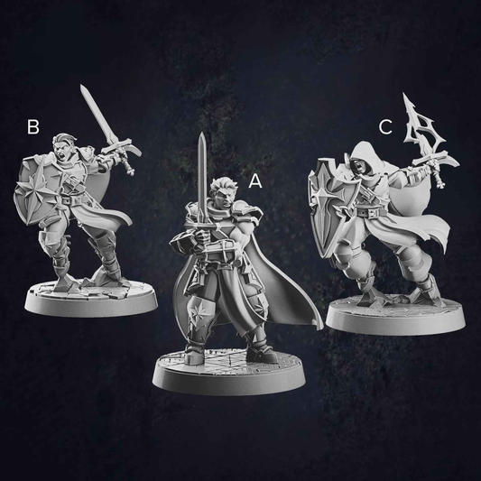 Male Human Paladin