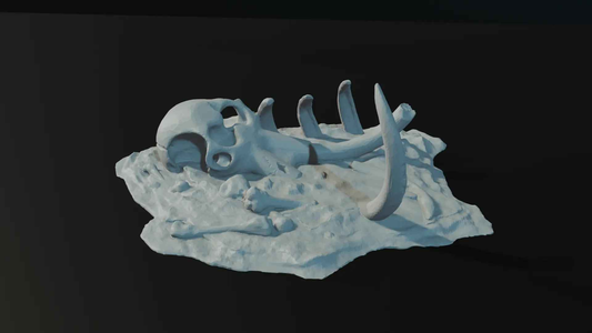 Mammoth Remains