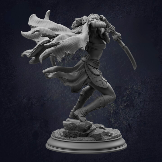 Narazin_Drow_Rogue Assassin_Back Left View