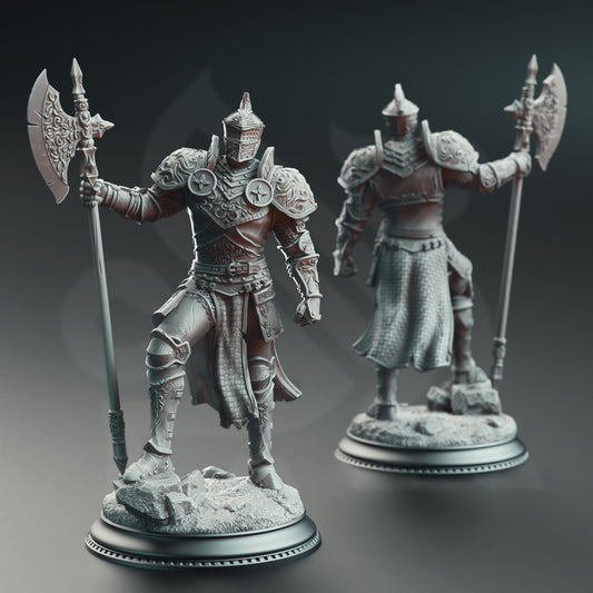 Knight of The Tower - Ser Claudius - The Print Tavern D&D RPG Miniature