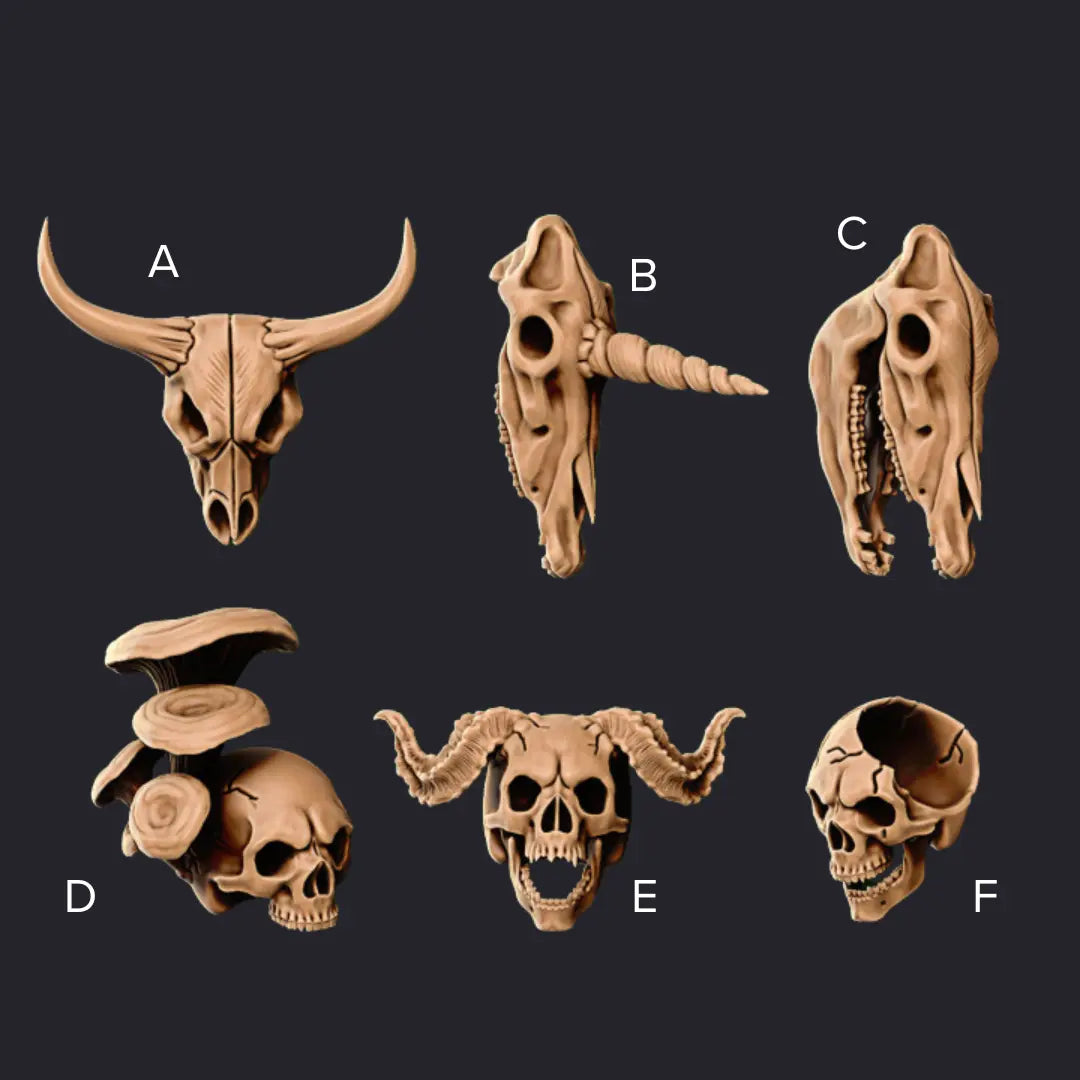An assortment of six intricately designed skull miniatures labeled A to F, including animal, human, and hybrid skulls with features like horns and mushrooms. Perfect for tabletop scatter terrain or artistic decoration.