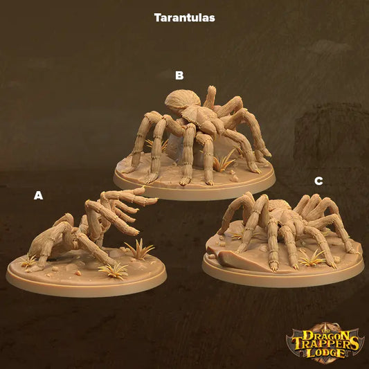 Tarantulas - The Print Tavern