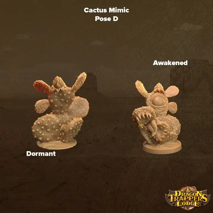 Cacti Mimics - The Print Tavern