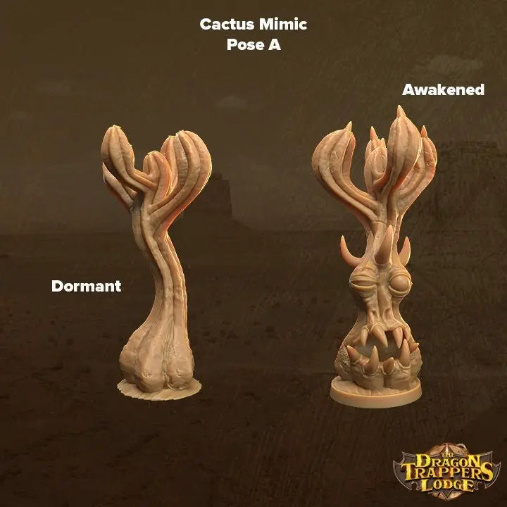 Cacti Mimics - The Print Tavern