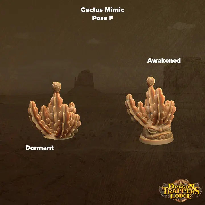Cacti Mimics - The Print Tavern