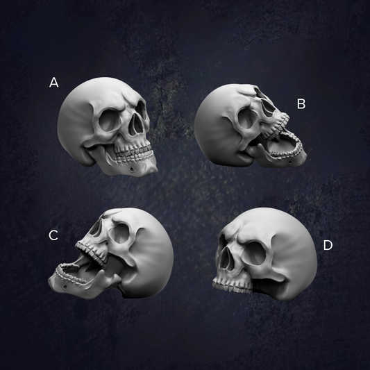four different views of a skull, each with a unique pose and expression.