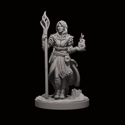 Female Sorceress Elena - The Print Tavern D&D RPG Miniature