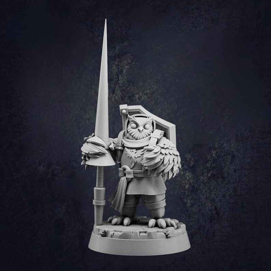 Owlfolk Allies
