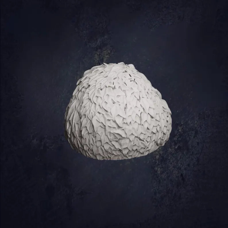 Woodland Starter Pack