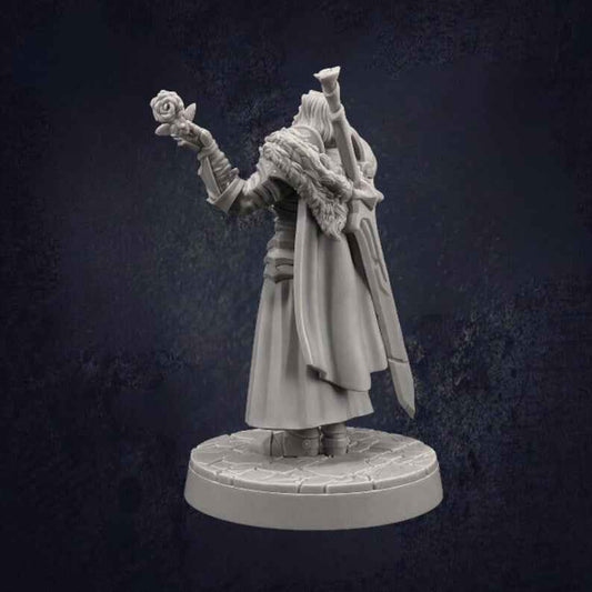 Male Paladin Sir Smugshine