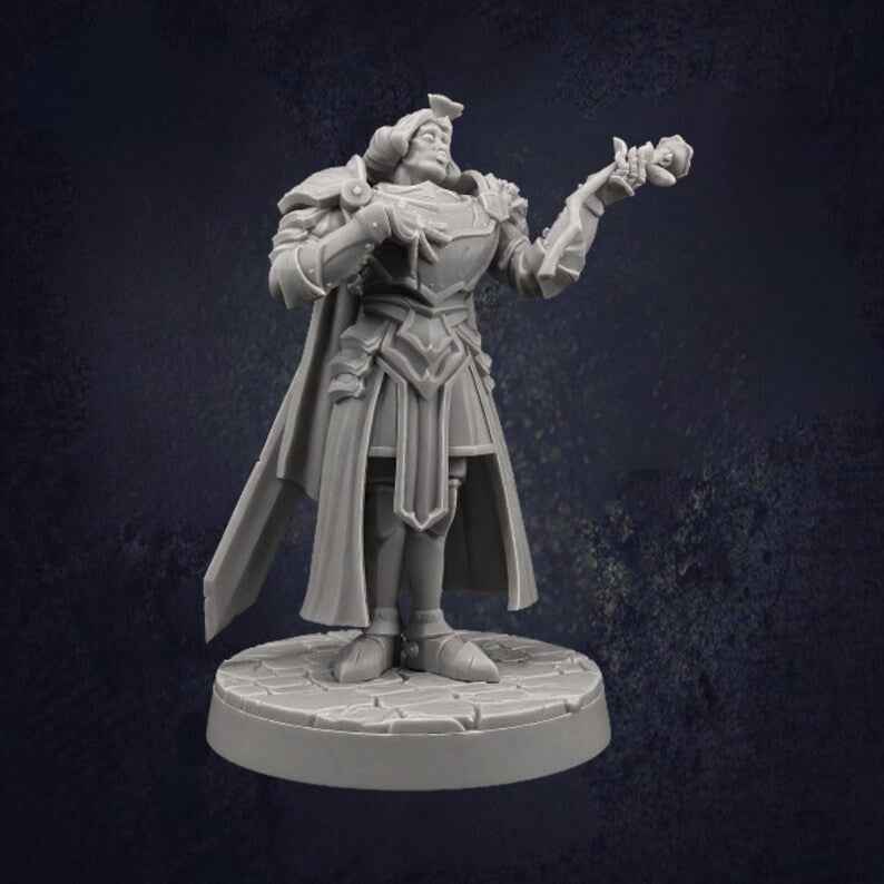 Male Paladin Sir Smugshine