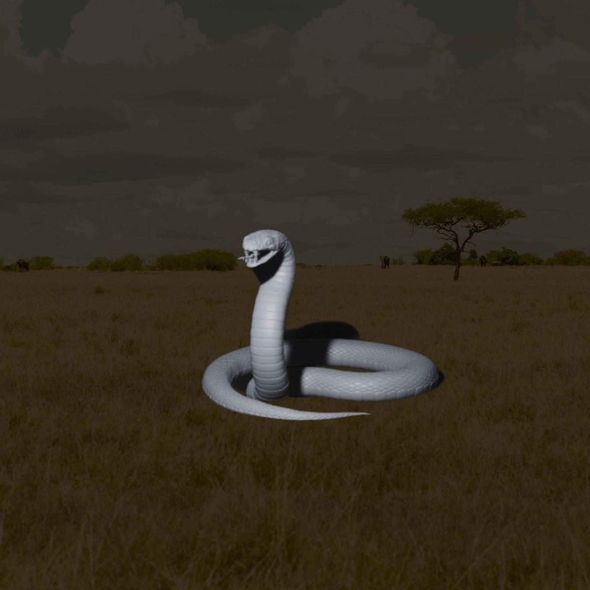 Snake