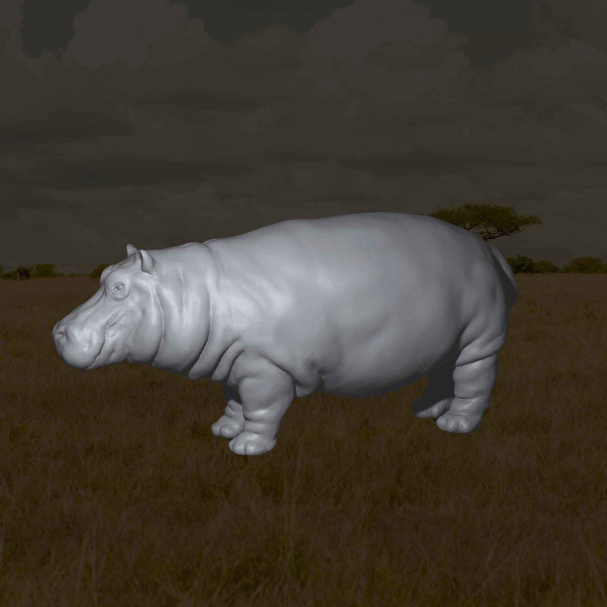 Hippo