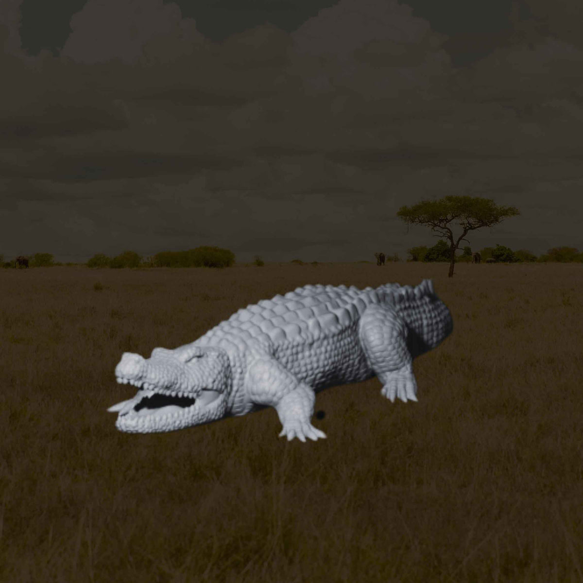 Crocodile