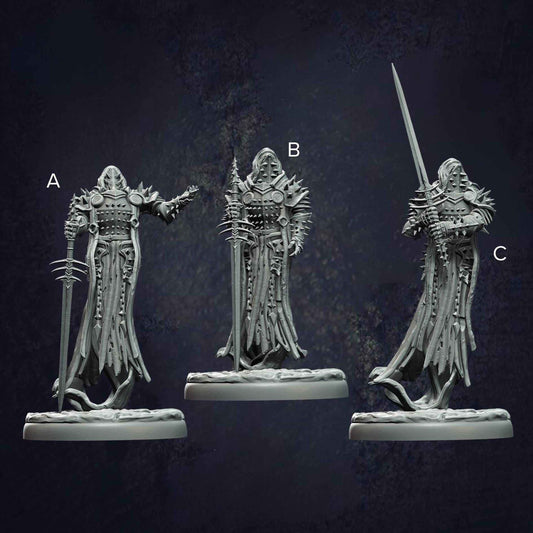 Damned Swordsman
