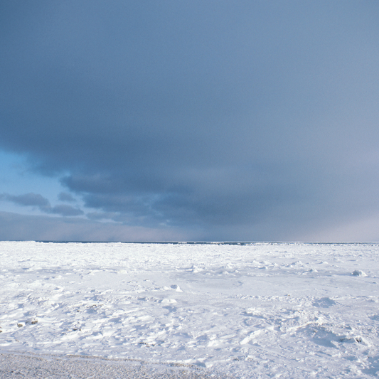 Braving the Icy Tundra: Winter Campaign Ideas