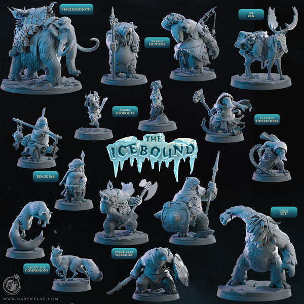 The Icebound