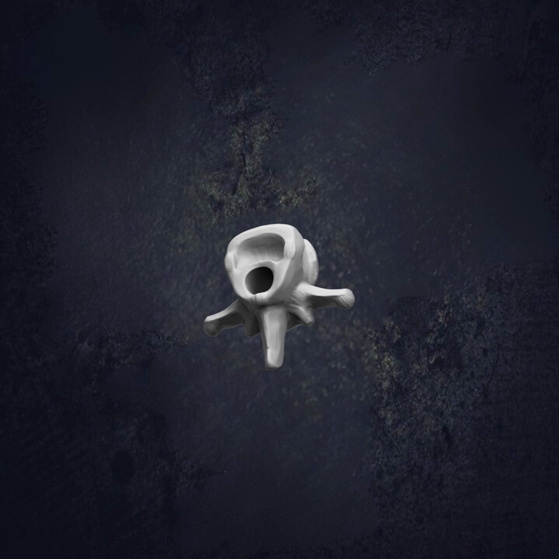a white, abstract, and organic-looking object floating in a dark, textured background.