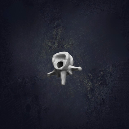 a white, abstract, and organic-looking object floating in a dark, textured background.