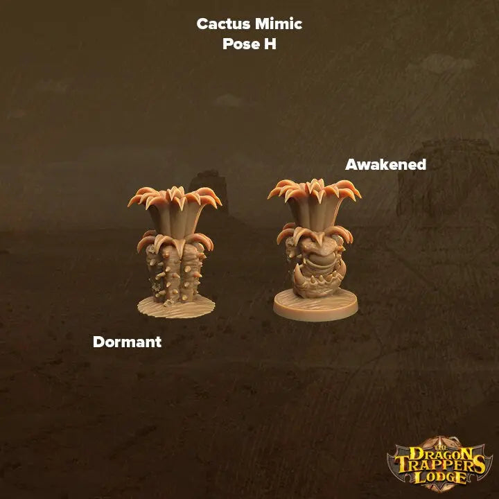 Cacti Mimics - The Print Tavern