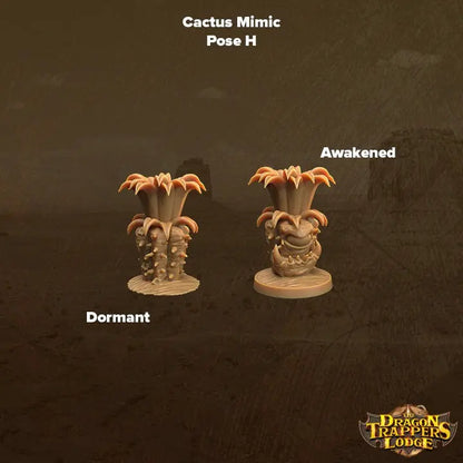 Cacti Mimics - The Print Tavern