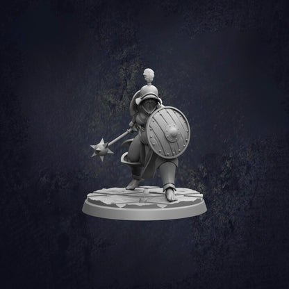 A 3D model of a warrior figure holding a shield and sword, standing on a platform against a dark background.