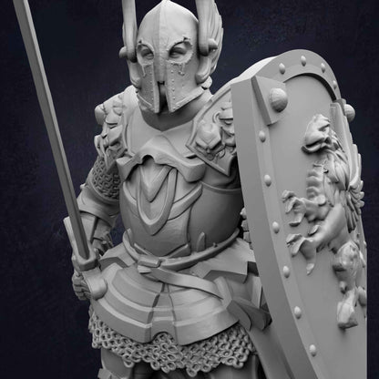 Male Human Paladin Sergeant Silus