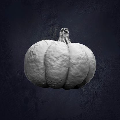 A white, textured pumpkin is shown against a dark background.