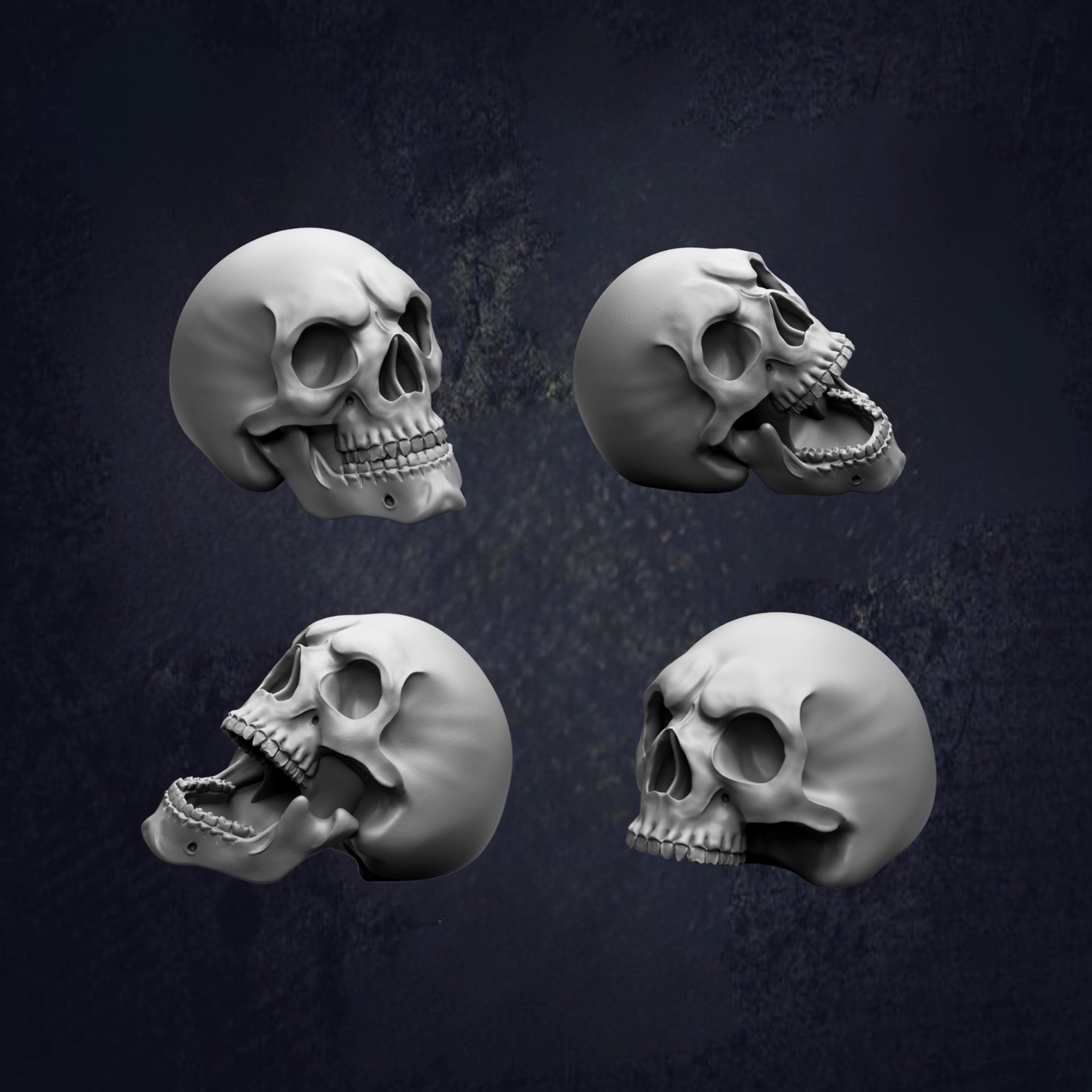 four white skull heads in various poses, arranged against a dark background.