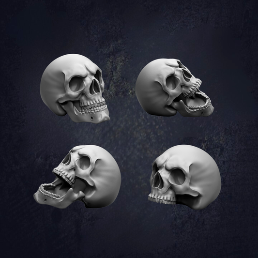 four white skull heads in various poses, arranged against a dark background.