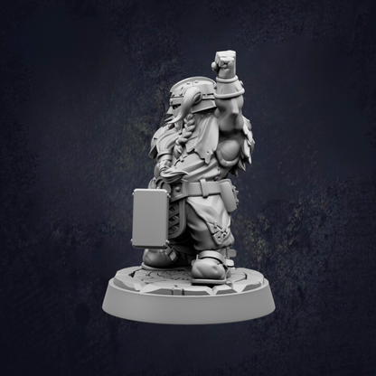 A 3D model of a dwarf character, possibly a dwarf warrior, standing on a platform and holding a shield.