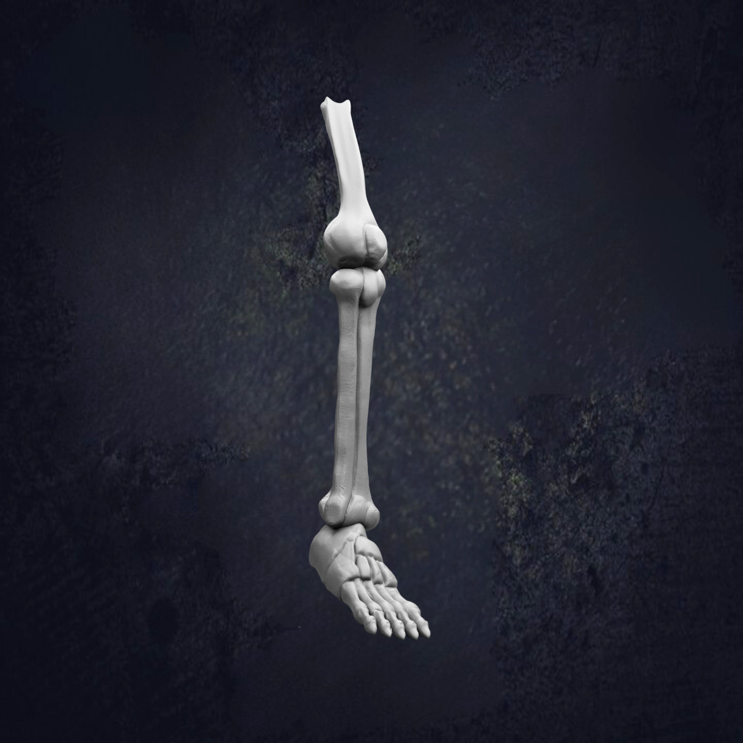 A 3D rendering of a human leg and foot against a dark background.