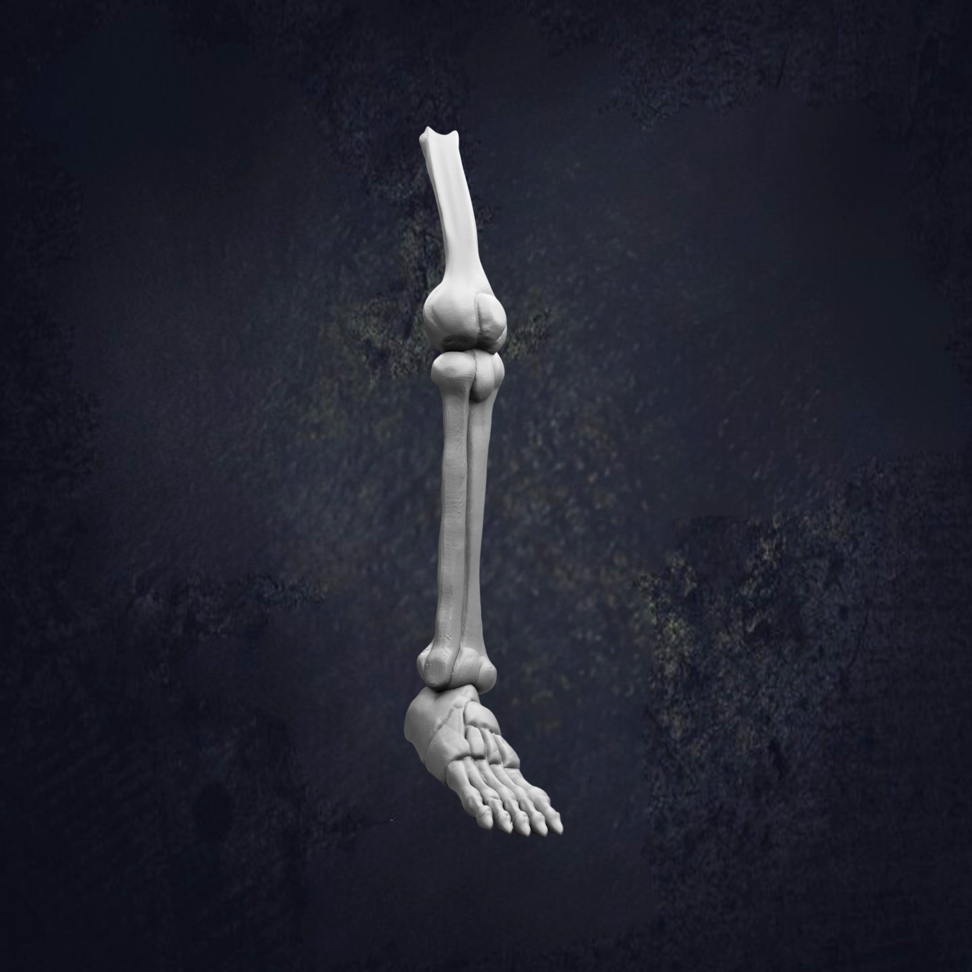 A 3D rendering of a human leg and foot against a dark background.