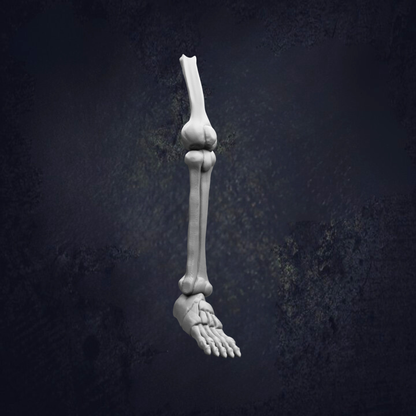 A 3D rendering of a human leg and foot against a dark background.